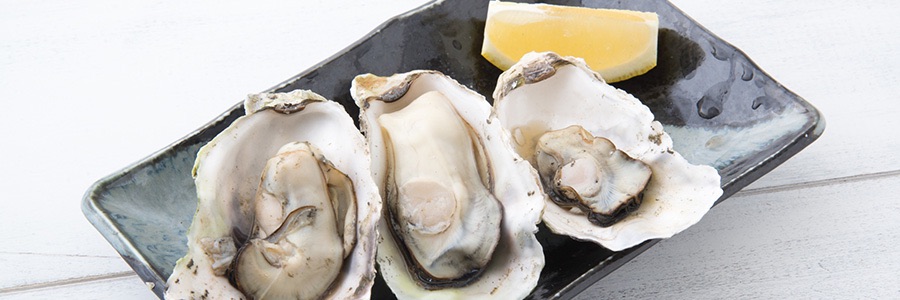 Plated Oysters