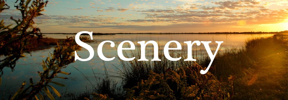 Scenery on Hatteras Island