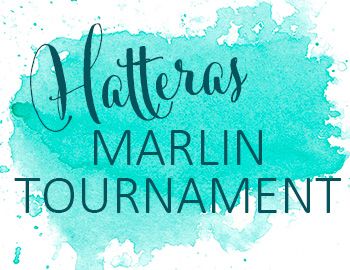 Hatteras Marlin Tournament