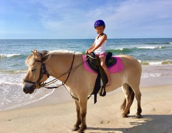 Hatteras Island Horseback Riding Hatteras Island Horseback Riding