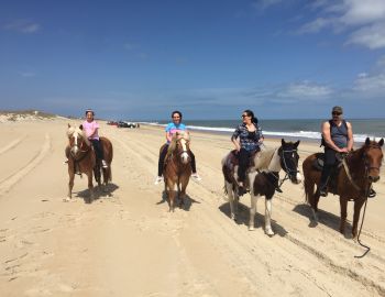 Lighthouse Horse Rides