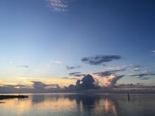 Photo Contest 1st Place Winner, Susan Paschal