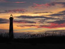 Photo Credit: Lori Miller
