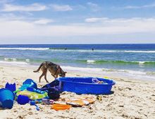 Hatteras Island Summer Beach Reads