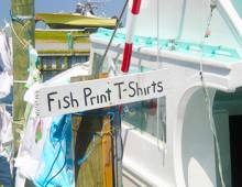 Day at The Docks on Hatteras Island, NC