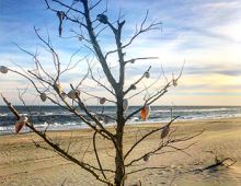 Holidays on Hatteras Island