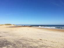 1st Jetty, January 2016 1st Jetty, January 2016