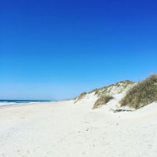 May 2016 on Hatteras Island
