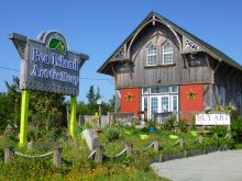 Pea Island Art Gallery in Salvo, NC on Hatteras Island
