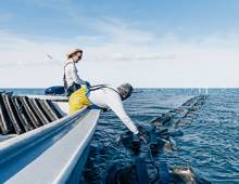 Image Provided by Slash Creek Oyster Company