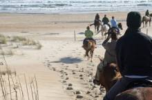 Equine Adventures Horseback at the Beach - Cape Hatteras Rentals