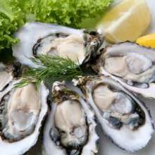 Outer Banks Oysters - Vacation Rentals