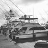 Boats Prepare for the Hatteras Marlin Tournament
