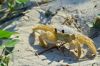 2016 Hatteras Summer Fun Photo Contest Entry by Gilles B.