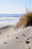 March 2016 on Hatteras Island