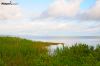 The beauty of the sound on Hatteras Island this May