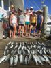 These Bluefish are the perfect size for a fish fry