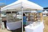 Day at the Docks 2016