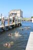 Day at The Docks 2017