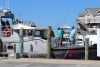 Day at The Docks 2017