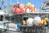 Day at The Docks 2017