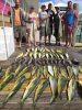 Plenty of Dolphin and some nice Sea Bass caught offshore