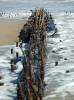 Hatteras Island Wrecks
