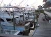 Boats at the Hatteras Landing Marina