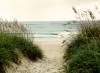 Midgett Realty