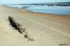 Midgett Realty: Flambeau Wreck December 2013