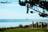 Midgett Realty