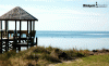 Midgett Realty