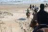 Equine Adventures Horseback at the Beach - Cape Hatteras Rentals