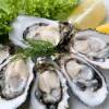 Outer Banks Oysters - Vacation Rentals