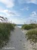 Midgett Realty