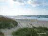 Midgett Realty