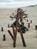 Photo Credit: Zenovah.Faire. Flambeau Wreck March 2012